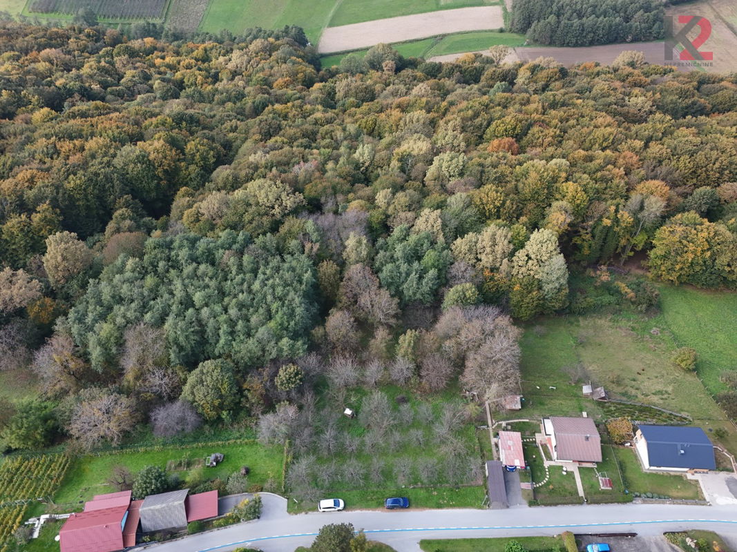 Lokacija: Podravska, Lenart, Zavrh