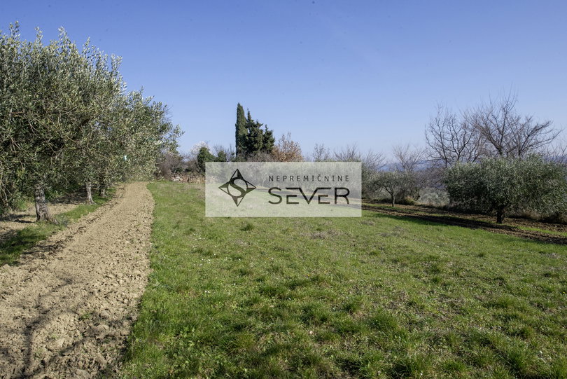 Lokacija: Obalno - kraška, Piran, Nova vas nad Dragonjo