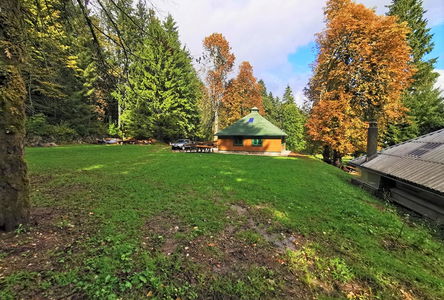 Lokacija: Notranjsko - kraška, Loška Dolina, Kozarišče
