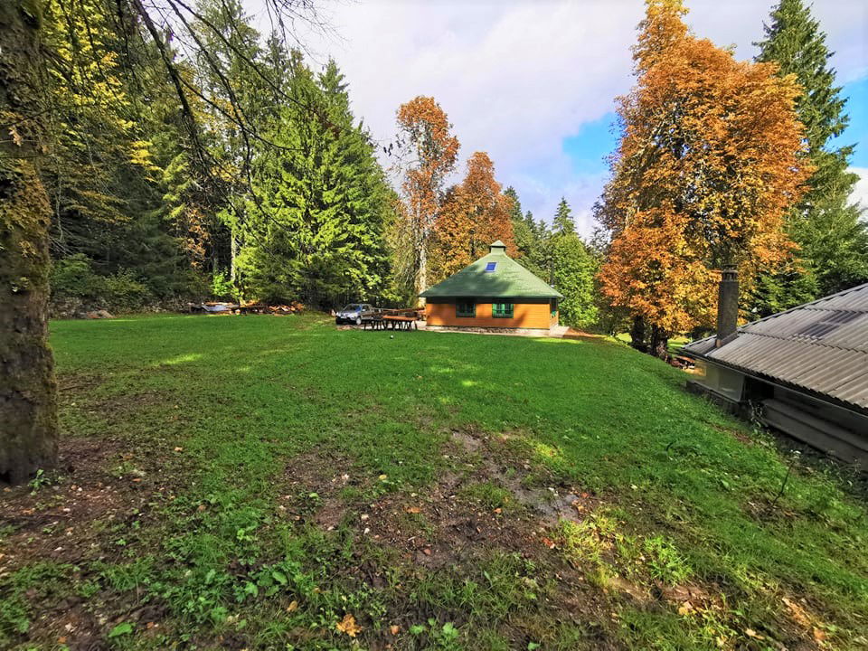 Lokacija: Notranjsko - kraška, Loška Dolina, Kozarišče
