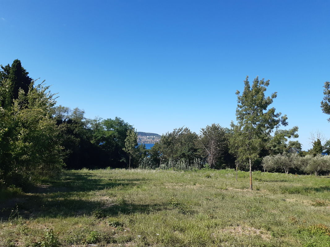 Lokacija: Obalno - kraška, Ankaran, Ankaran
