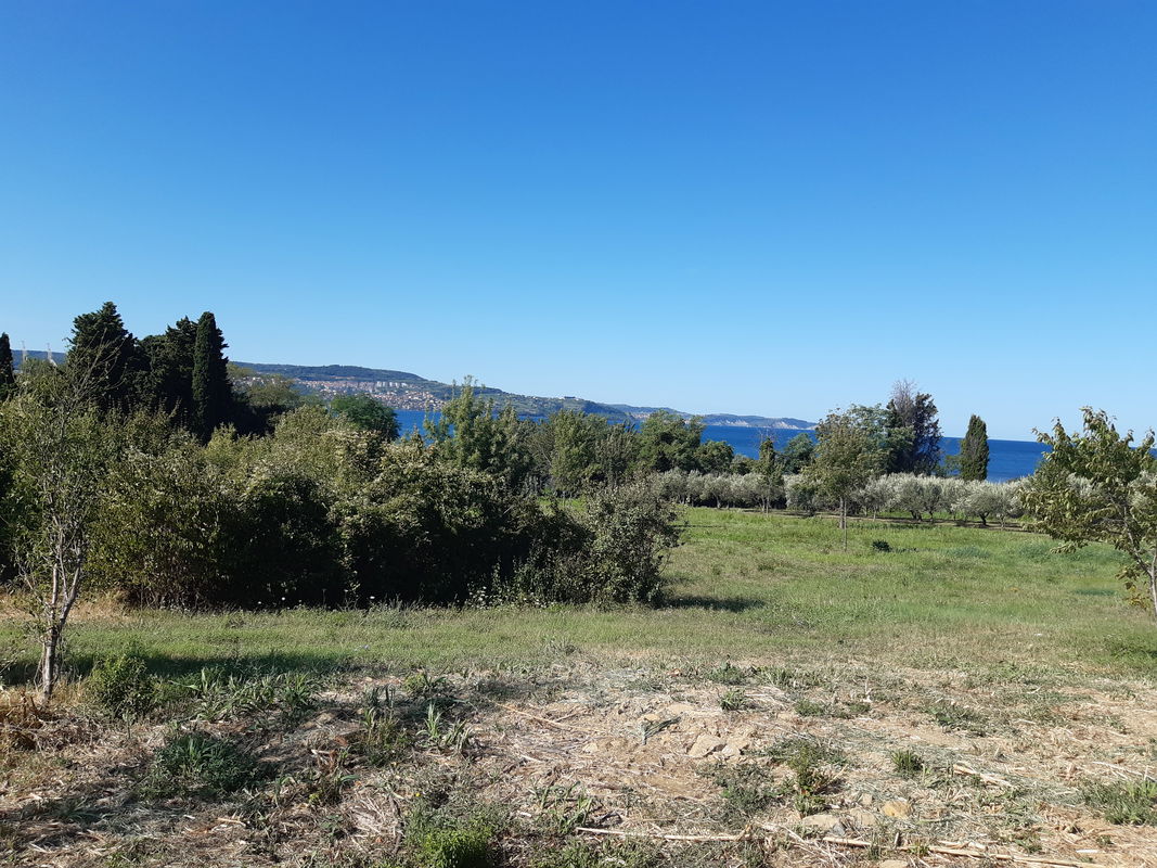 Lokacija: Obalno - kraška, Ankaran, Ankaran