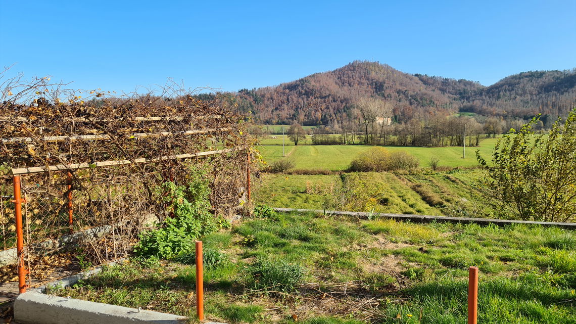 Lokacija: Notranjsko - kraška, Postojna, Planina