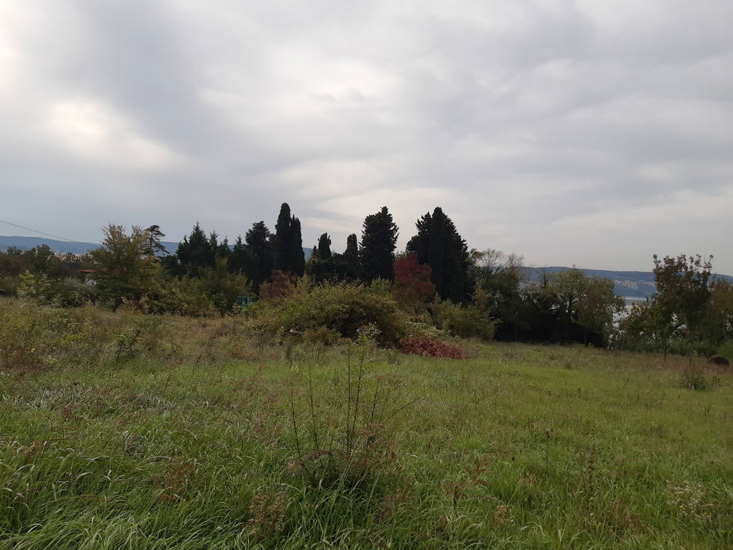 Lokacija: Obalno - kraška, Ankaran, Ankaran