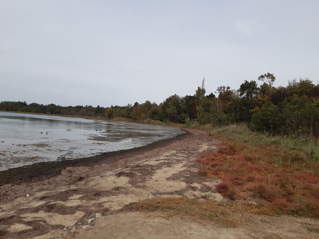 Lokacija: Obalno - kraška, Ankaran, Ankaran
