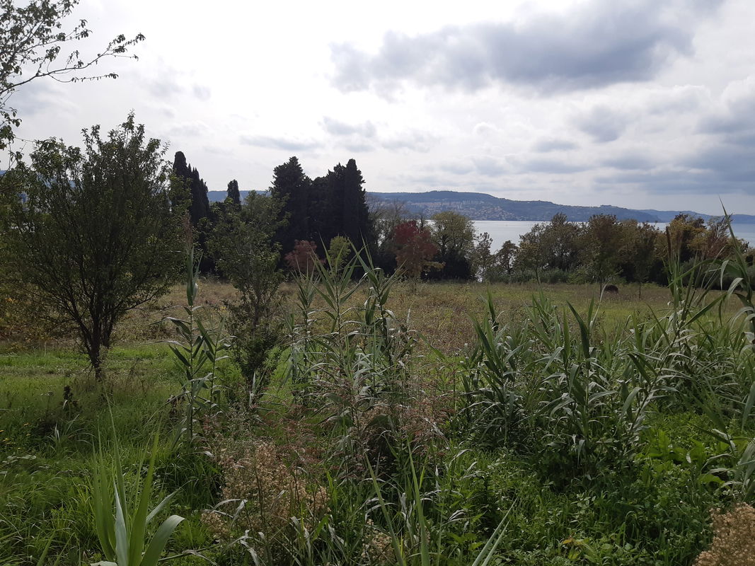 Lokacija: Obalno - kraška, Ankaran, Ankaran
