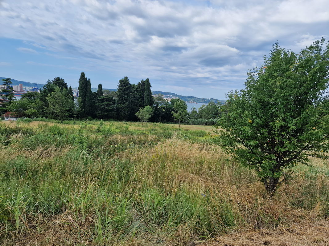 Lokacija: Obalno - kraška, Ankaran, Ankaran