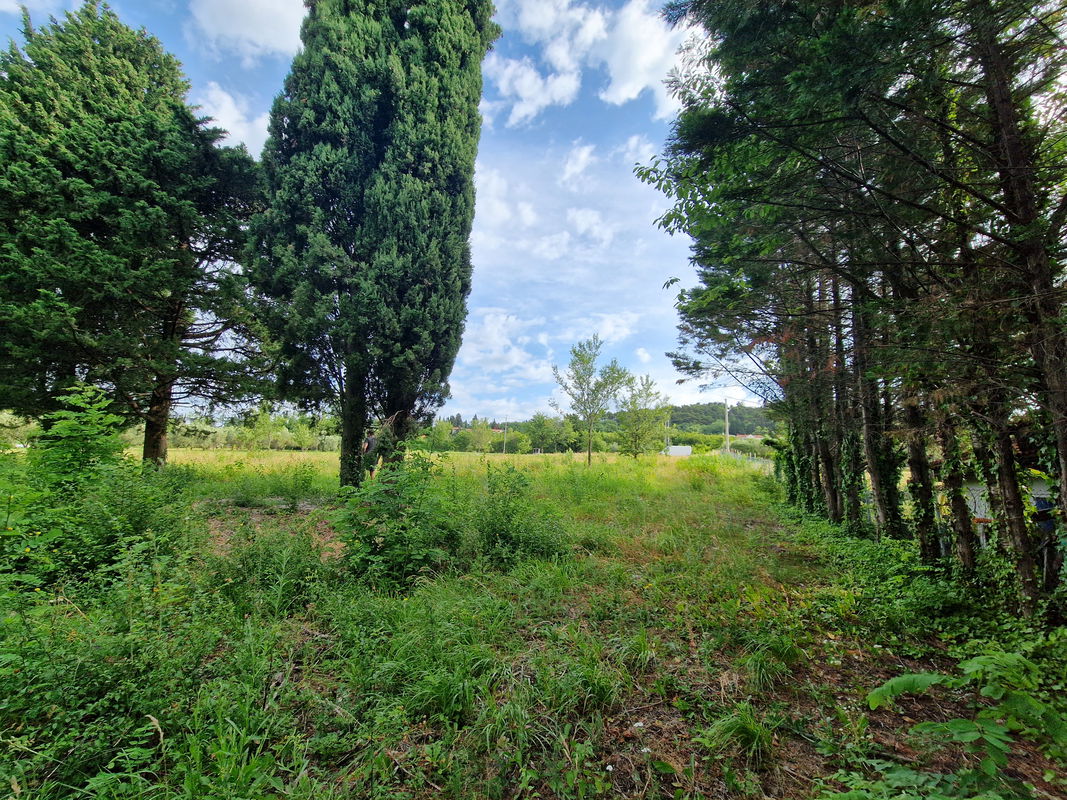 Lokacija: Obalno - kraška, Ankaran, Ankaran