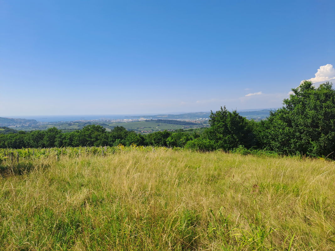Lokacija: Obalno - kraška, Koper, Marezige