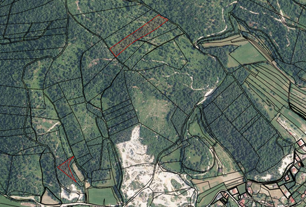Lokacija: Notranjsko - kraška, Postojna, Planina