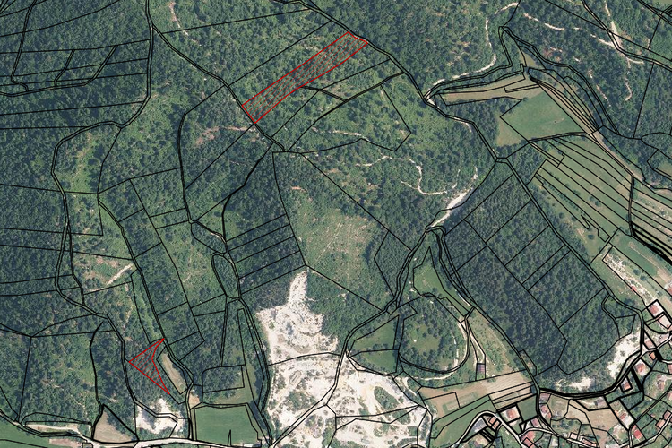 Lokacija: Notranjsko - kraška, Postojna, Planina