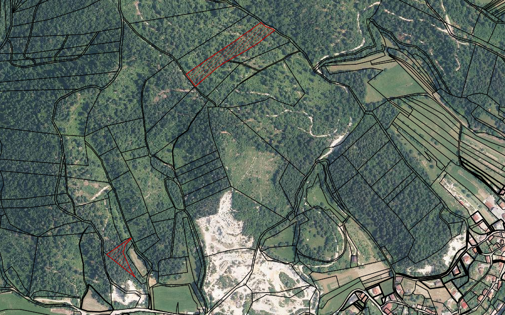 Lokacija: Notranjsko - kraška, Postojna, Planina