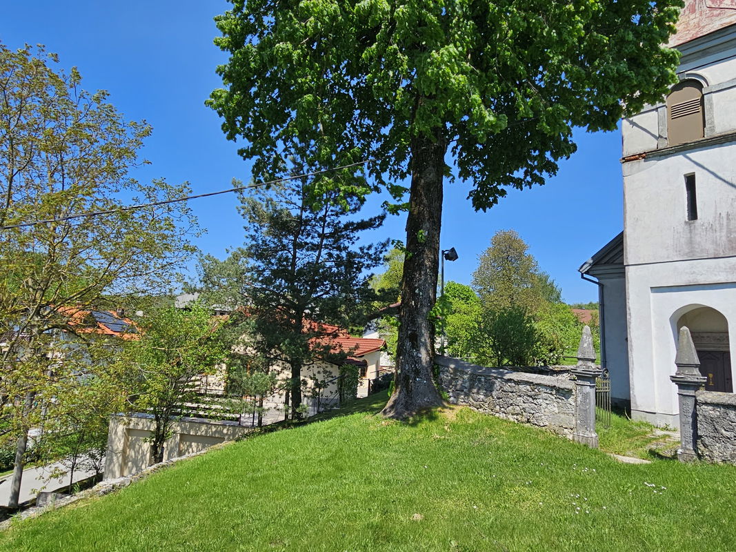 Lokacija: Notranjsko - kraška, Postojna, Postojna