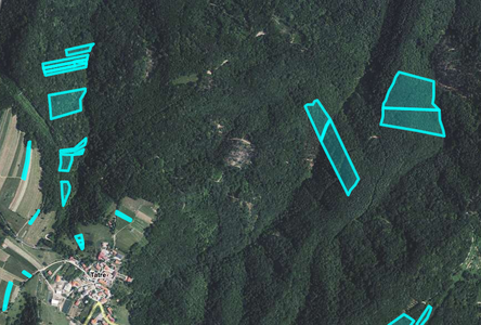 Lokacija: Obalno - kraška, Hrpelje - Kozina, Tatre