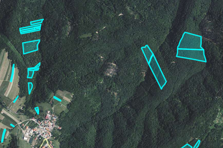 Location: Obalno - kraška, Hrpelje - Kozina, Tatre