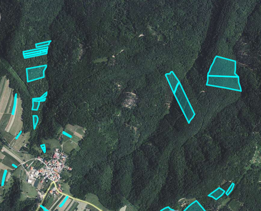Lokacija: Obalno - kraška, Hrpelje - Kozina, Tatre