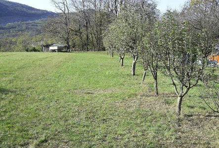 Lokacija: Obalno - kraška, Sežana, Dane pri Sežani