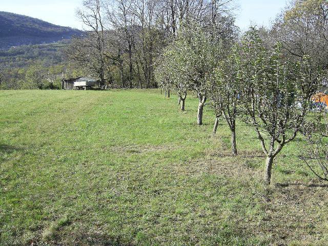 Lokacija: Obalno - kraška, Sežana, Dane pri Sežani