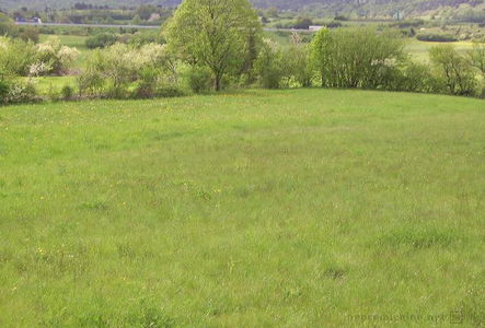 Lokacija: Obalno - kraška, Divača, Senožeče