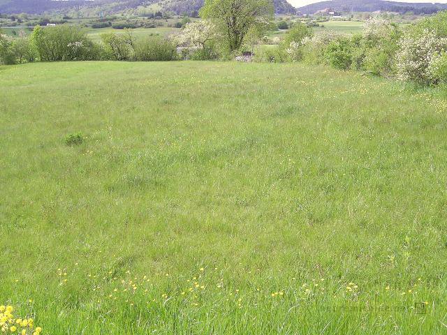 Lokacija: Obalno - kraška, Divača, Senožeče