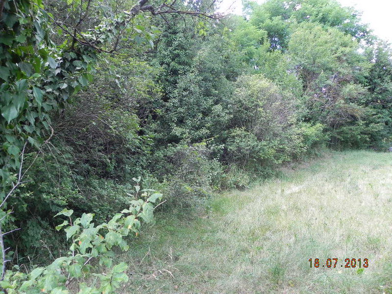 Lokacija: Notranjsko - kraška, Ilirska Bistrica, Jelšane