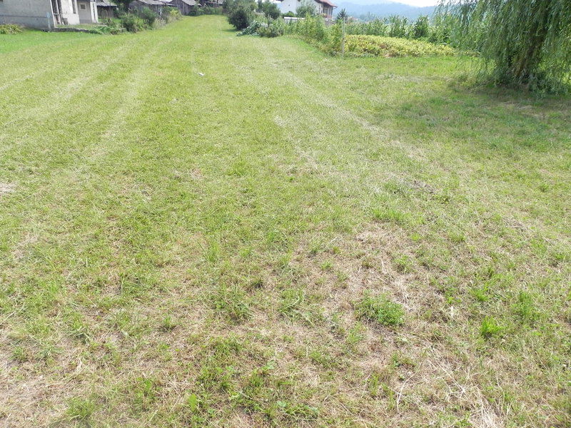 Lokacija: Notranjsko - kraška, Postojna, Prestranek