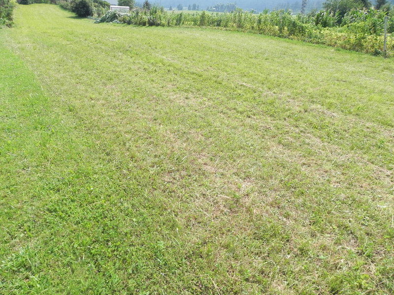 Lokacija: Notranjsko - kraška, Postojna, Prestranek