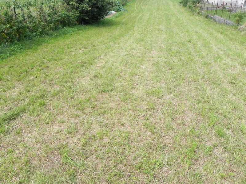 Lokacija: Notranjsko - kraška, Postojna, Prestranek