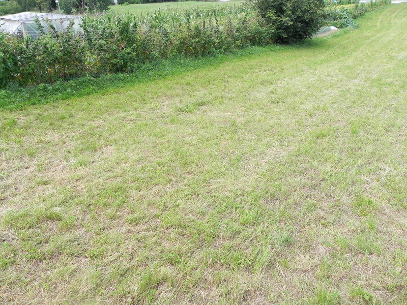 Lokacija: Notranjsko - kraška, Postojna, Prestranek