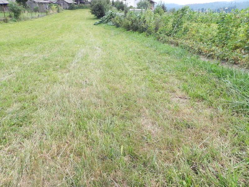 Lokacija: Notranjsko - kraška, Postojna, Prestranek