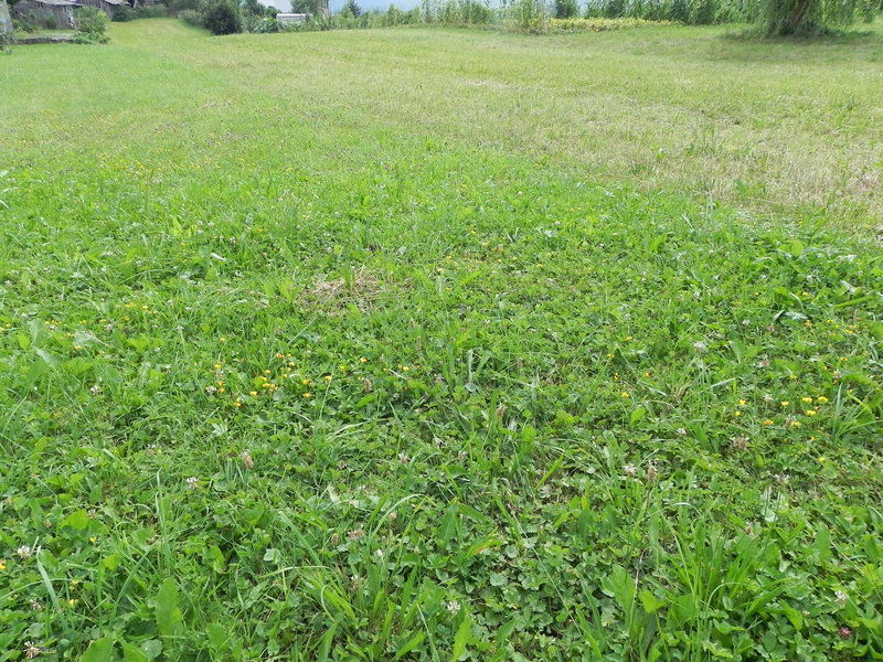 Lokacija: Notranjsko - kraška, Postojna, Prestranek