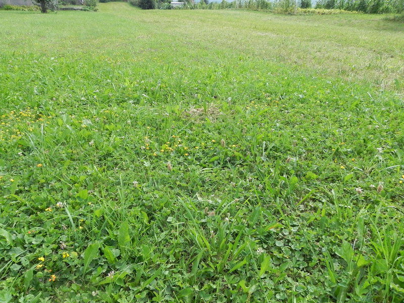 Lokacija: Notranjsko - kraška, Postojna, Prestranek