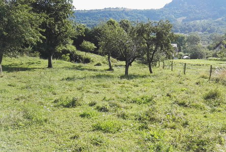 Lokacija: Notranjsko - kraška, Pivka, Narin