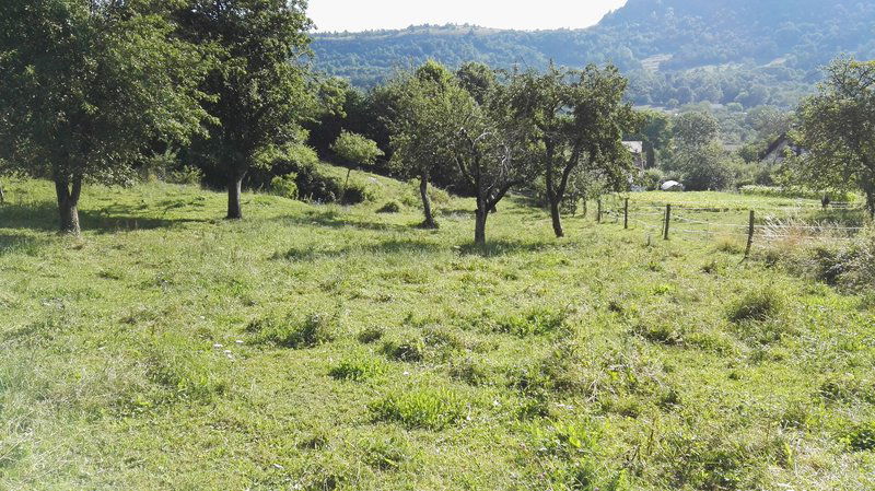Lokacija: Notranjsko - kraška, Pivka, Narin