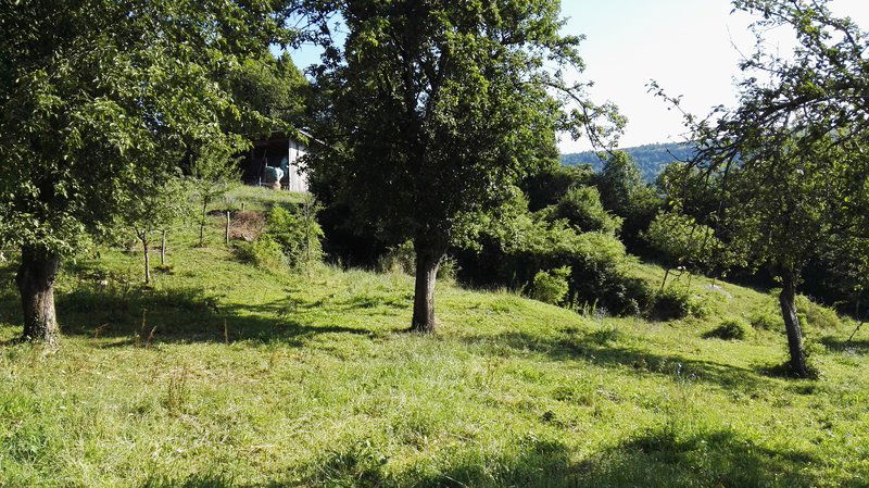 Lokacija: Notranjsko - kraška, Pivka, Narin