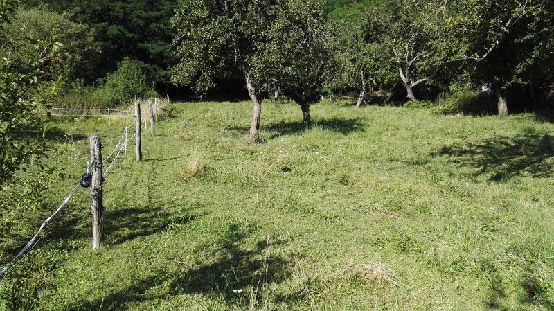Lokacija: Notranjsko - kraška, Pivka, Narin