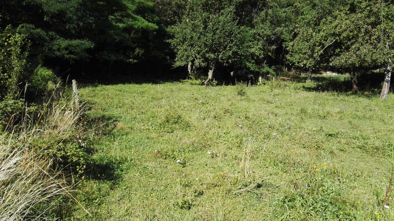 Lokacija: Notranjsko - kraška, Pivka, Narin