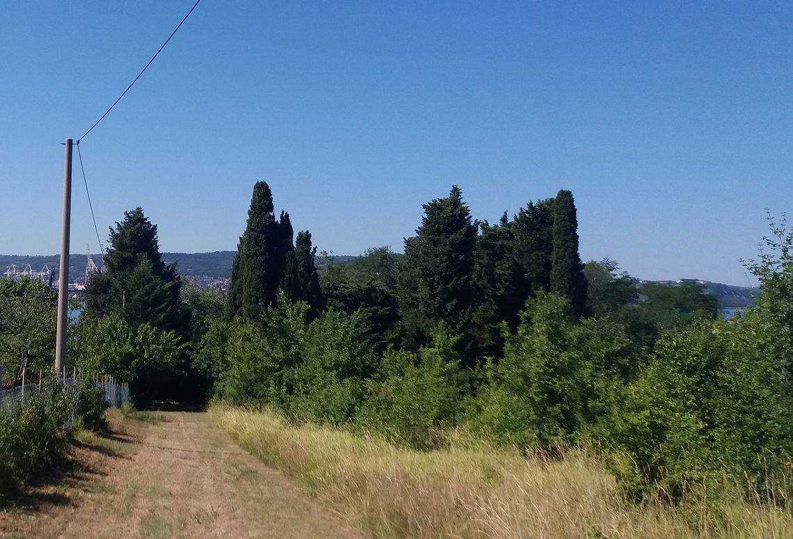 Lokacija: Obalno - kraška, Ankaran, Ankaran