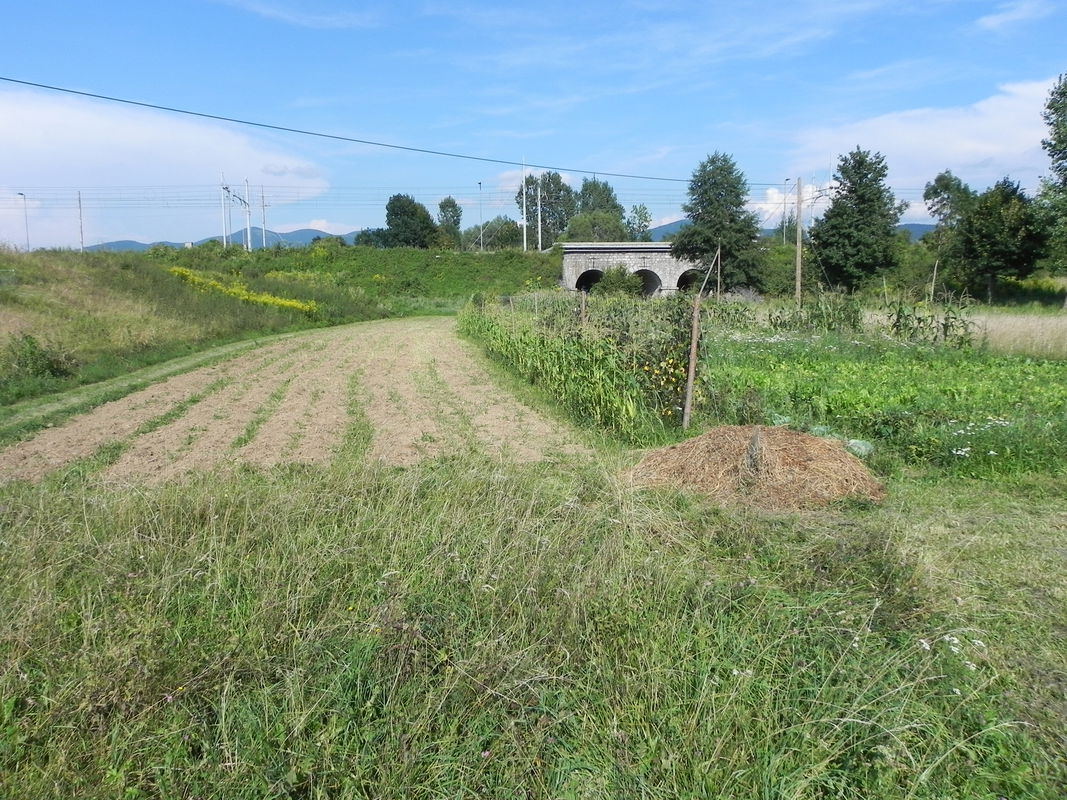 Location: Notranjsko - Kraška, Postojna, Koče