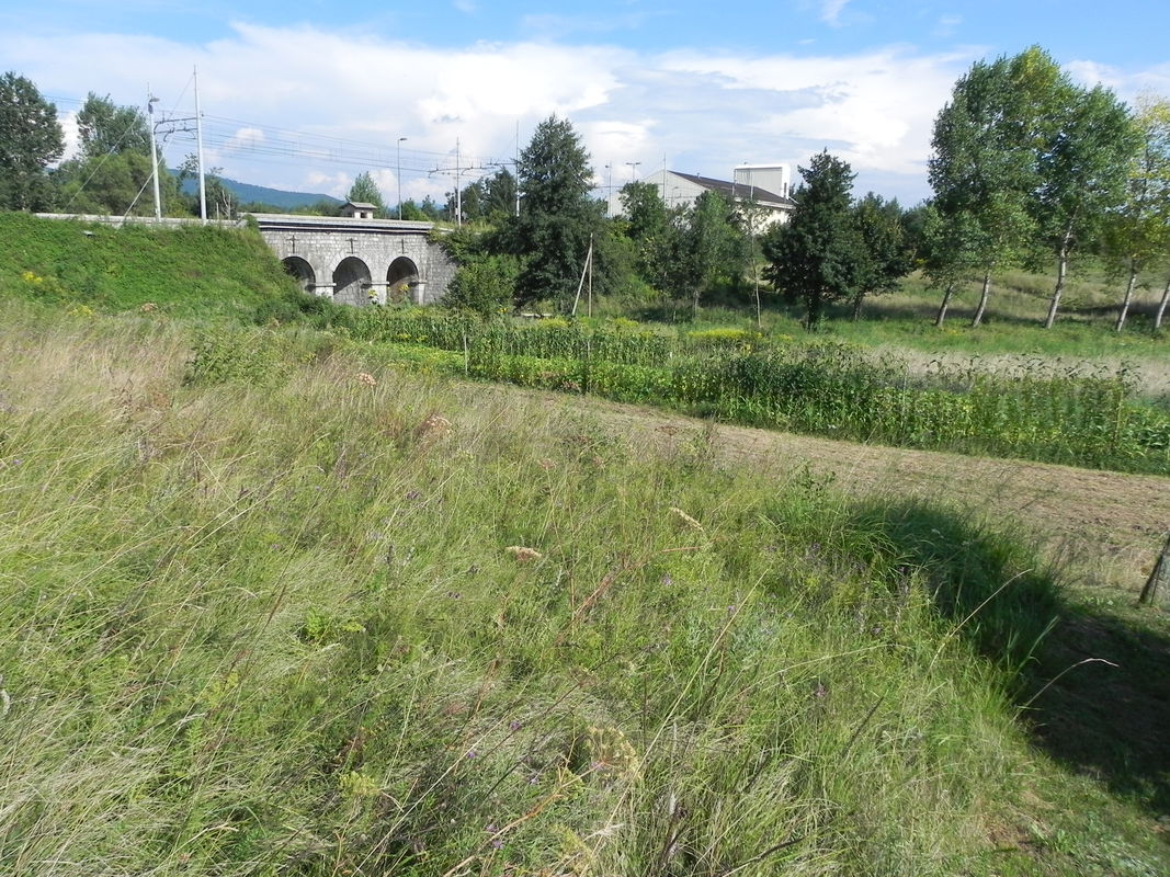 Location: Notranjsko - Kraška, Postojna, Koče