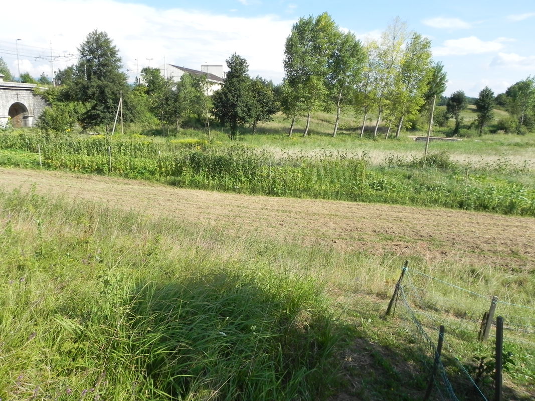Location: Notranjsko - Kraška, Postojna, Koče