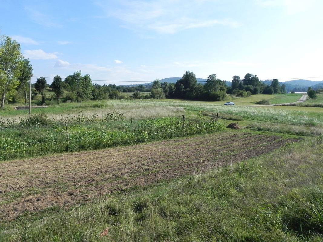 Location: Notranjsko - Kraška, Postojna, Koče