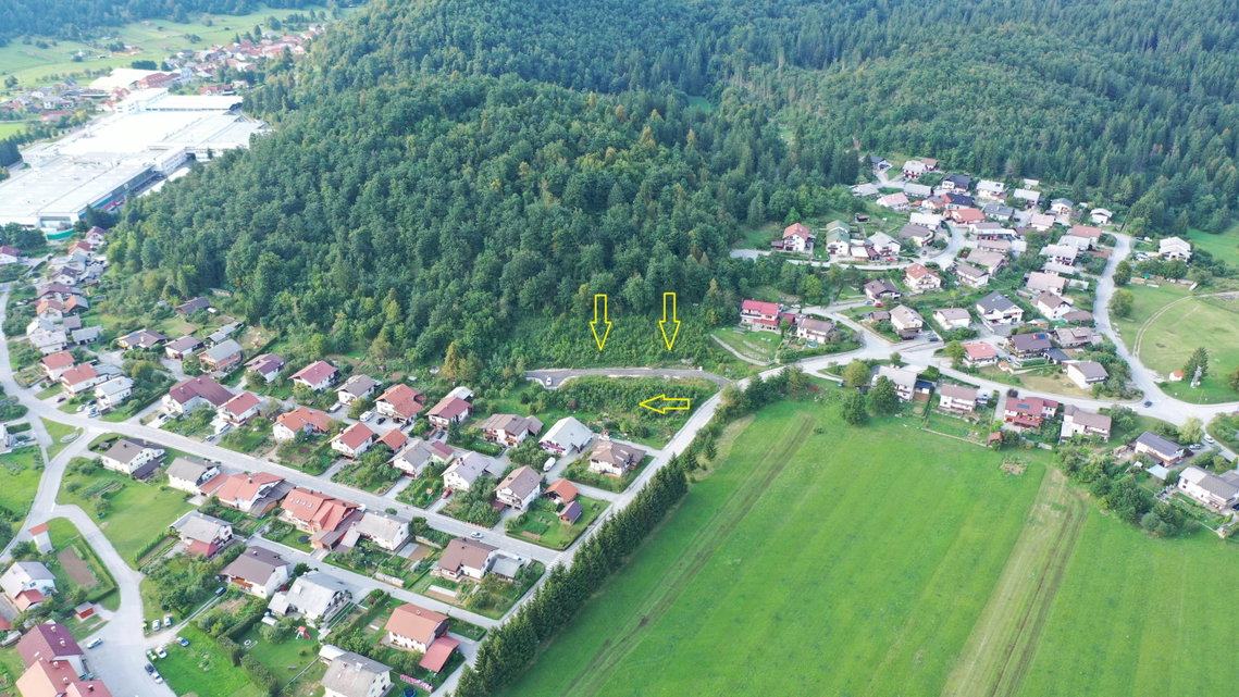 Lokacija: Notranjsko - kraška, Loška Dolina, Lož