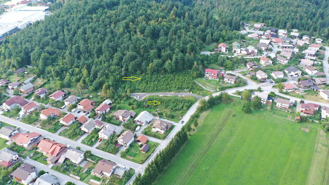 Lokacija: Notranjsko - kraška, Loška Dolina, Lož