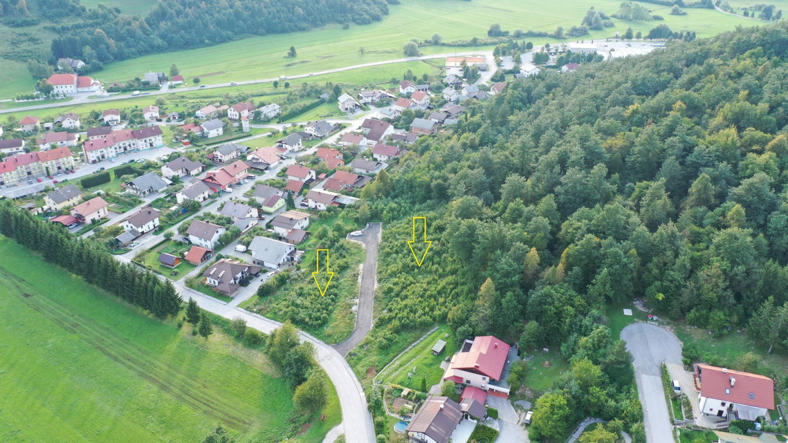 Lokacija: Notranjsko - kraška, Loška Dolina, Lož