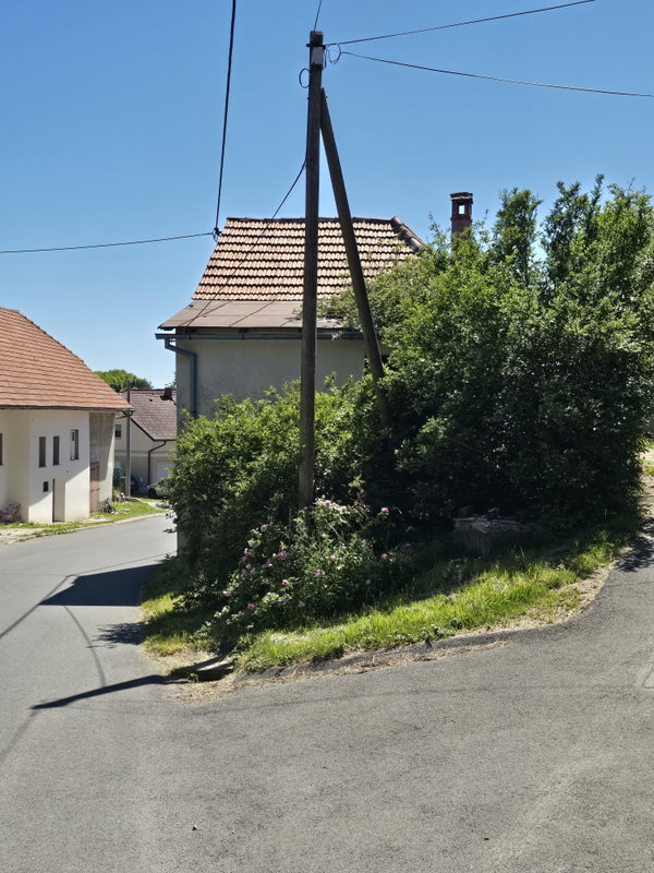 Lokacija: Notranjsko - kraška, Postojna, Studeno