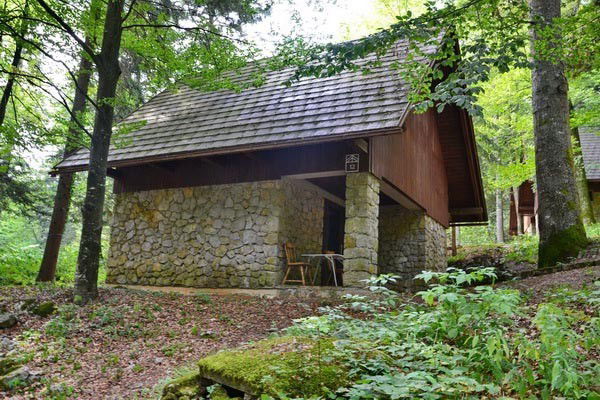 Lokacija: Notranjsko - kraška, Postojna, Postojna