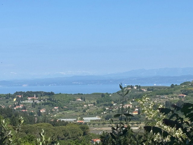 Lokacija: Obalno - kraška, Piran, Portorož