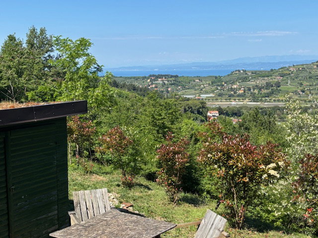 Lokacija: Obalno - kraška, Piran, Portorož