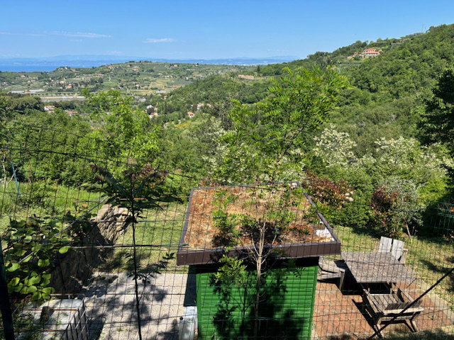 Lokacija: Obalno - kraška, Piran, Portorož